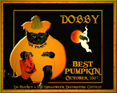 dobbypumpkinwinner.jpg